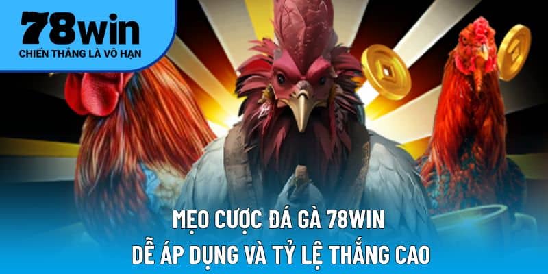 Mẹo cược đá gà 78WIN dễ áp dụng và tỷ lệ thắng cao