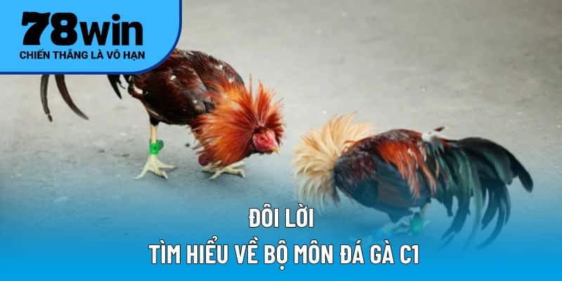 Đôi lời tìm hiểu về bộ môn đá gà C1
