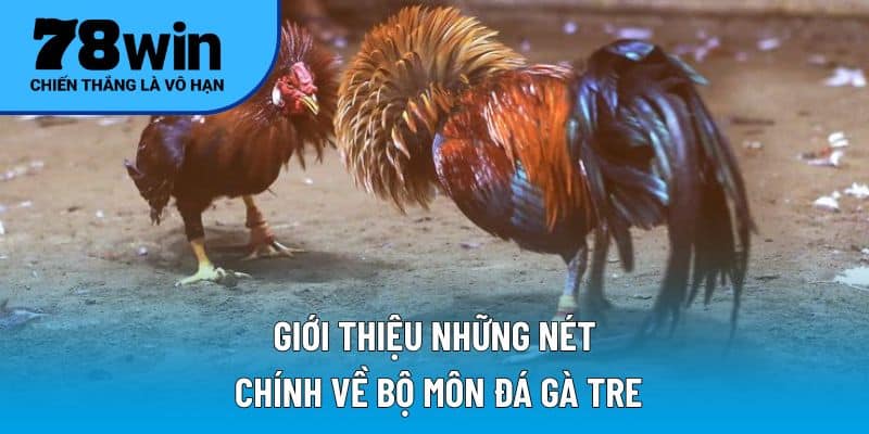 Giới thiệu những nét chính về bộ môn đá gà tre