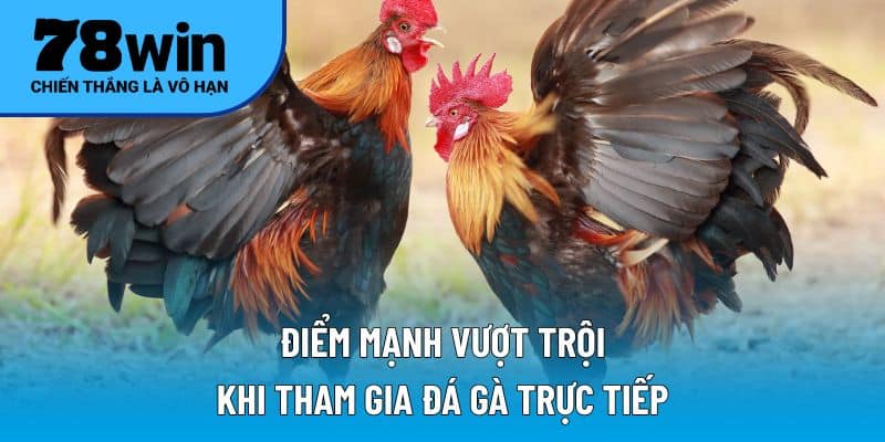 Điểm mạnh vượt trội khi tham gia đá gà trực tiếp